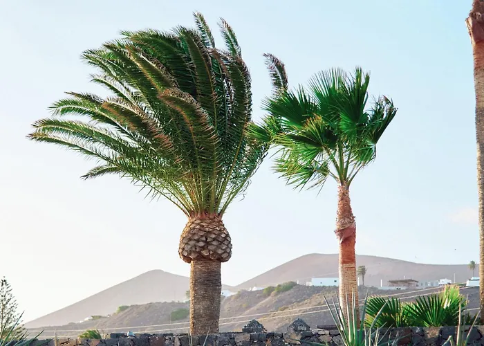 Casa Del Aljibe - El Estudio Semesterbostad *